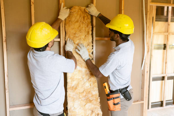 Best Blown-In Insulation  in Laton, CA